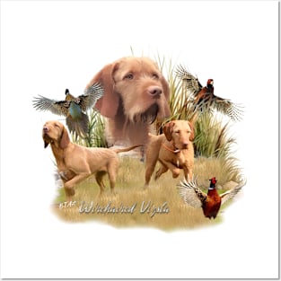 The Hungarian Wirehaired Vizsla Posters and Art